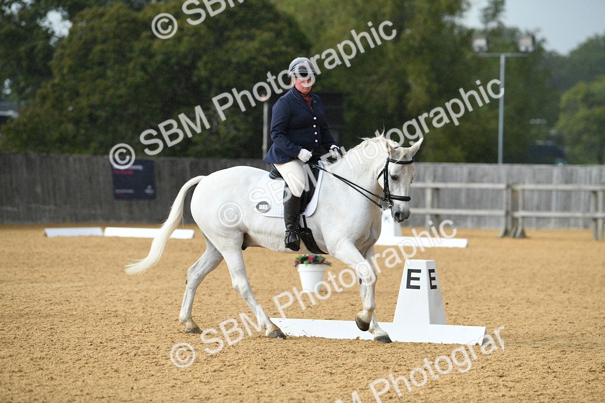 SBM_11120 - D28 Elementary Taster Elementary 42