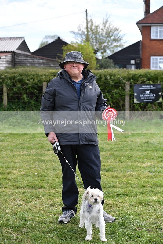 WJ5_0200 - Class 5 Best Veteran / 7 years & over