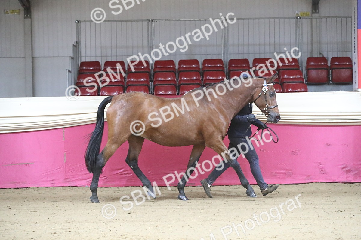 SBM_00236 - Class 1a - Area IH Diamond