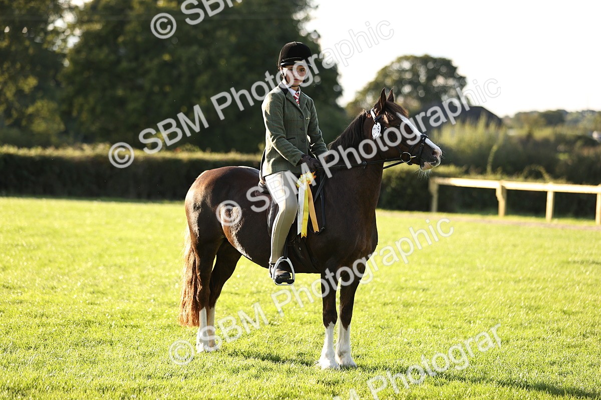 SBM_29649 - S7 - Novice & Newcomers Ridden Pony