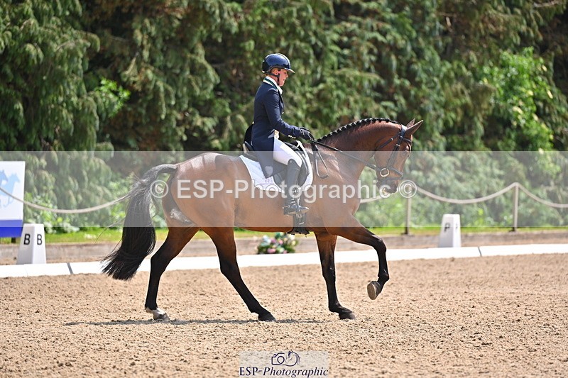 250523A-140313-07208 - B-358-Sammi.Birch-PARKFIELD.ARTIE.BLOU