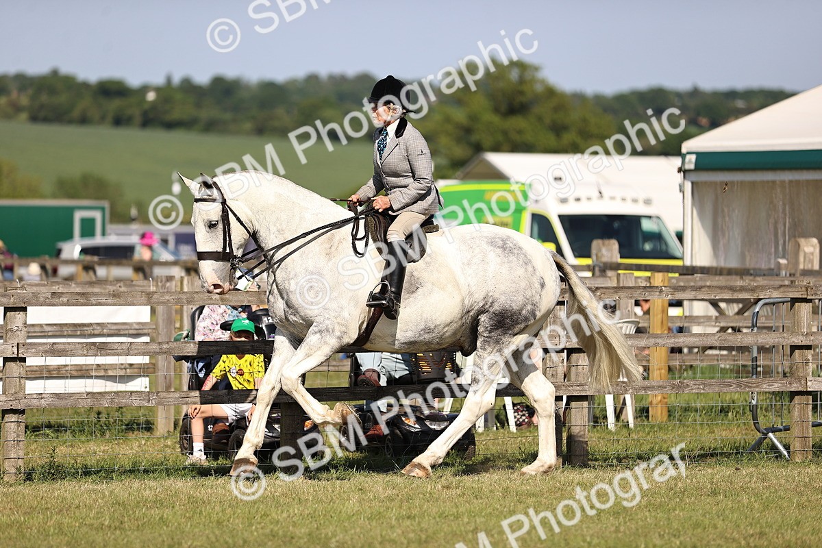 SBM_19633 - Class 87-88 - RIHS BSHA Riding Horses