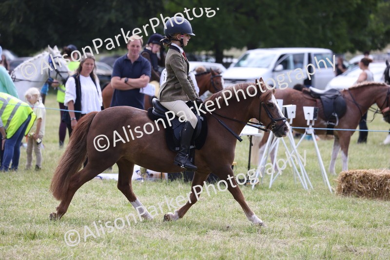20260614-2088 - Class 21 - Novice Working Hunter Pony