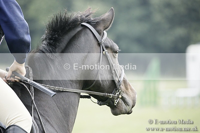 BVR090918 362 - BVRC Dressage and Show Jumping 09/09/18