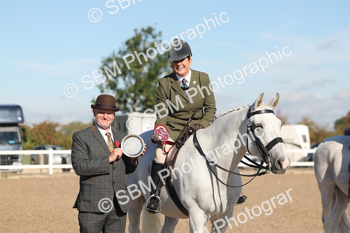 SBM_12232 - Class 303 - Ridden Pure Bred Horse Pony