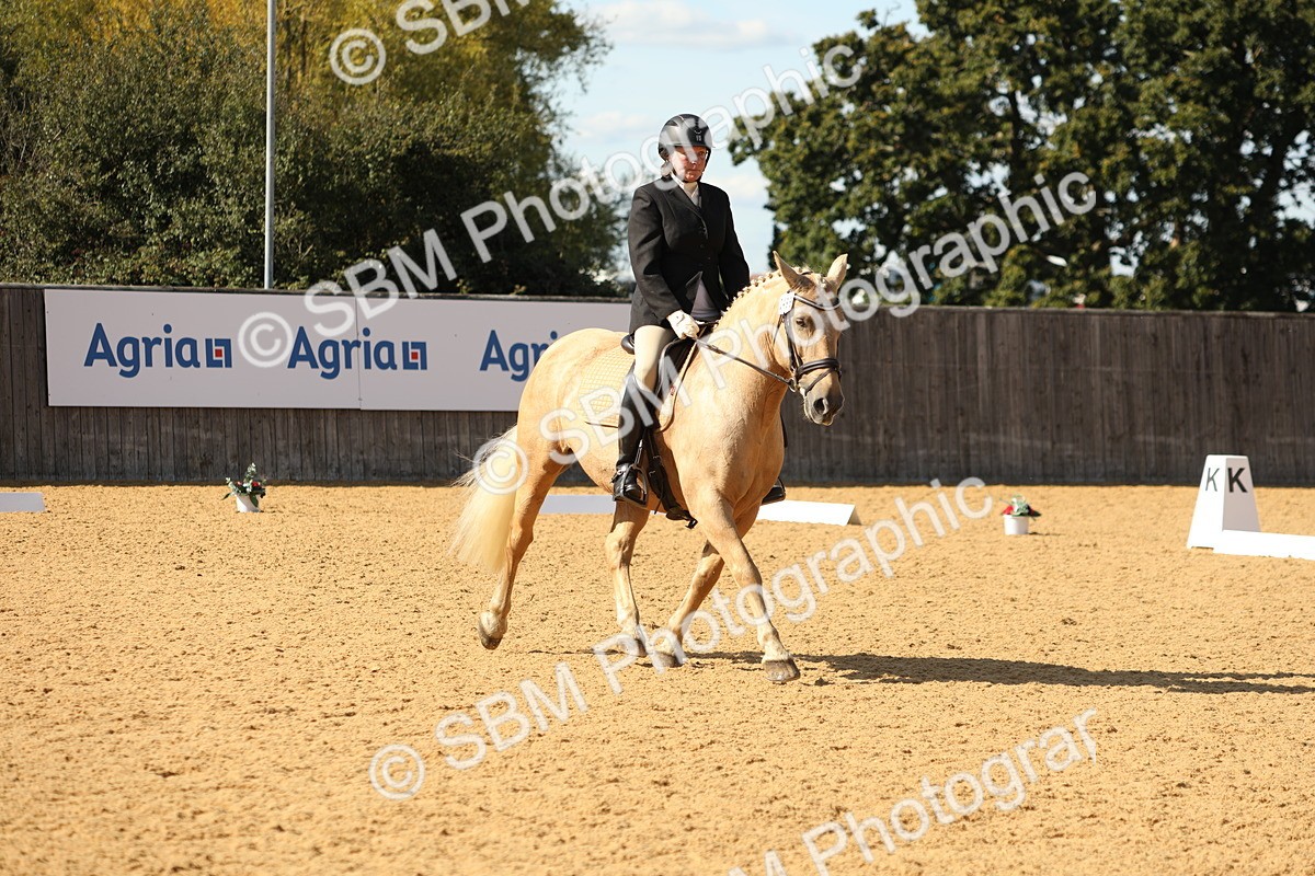 SBM_24549 - D17 - Grand Tour Championship - Novice 27