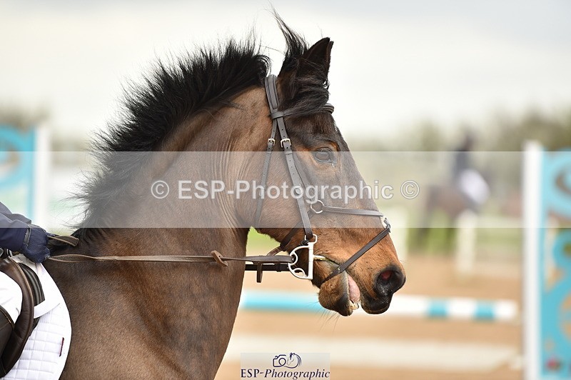 240331A-133832-00936 - 80cm Second Round