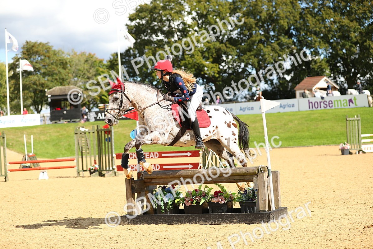 SBM_07585 - E4 Eventers Challenge 80cm Open