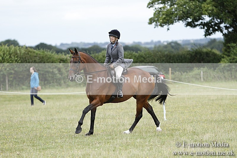 BVR160717-1795 - Ring 3 BVRC Show 16/07/17