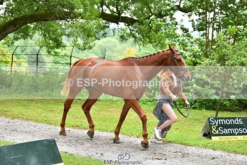 240522-163442-01017 - 212-RIVERSTOWN_ROYAL-Georgie_Frow