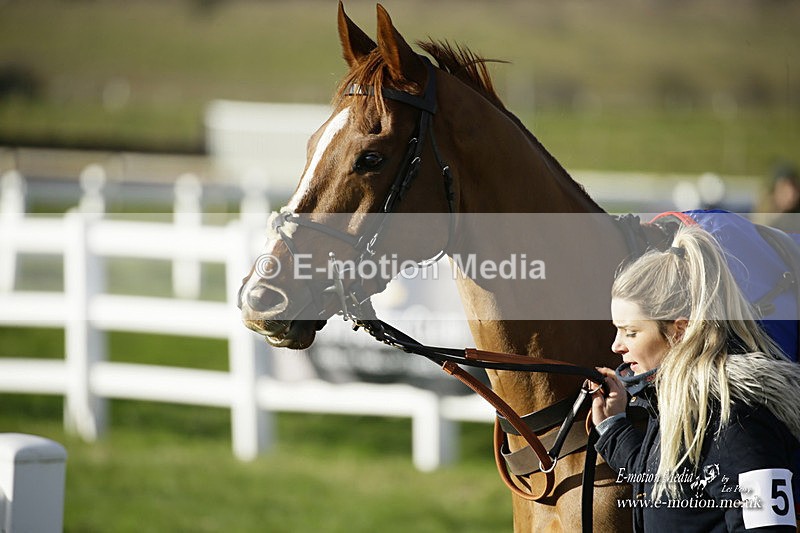 PtP 281121 003 - Hursley Hambledon Point-to-Point Larkhill 28/11/21