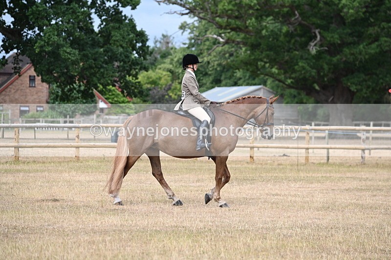 WJ6_7511 - Class 9 Tack and Turnout