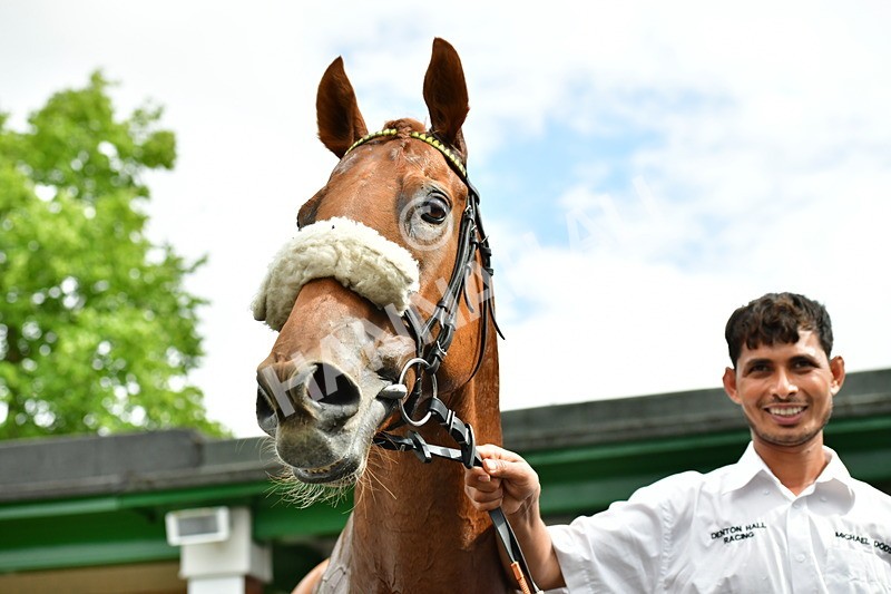 170625-Race 4-Lord Abama-3951 - Race 4