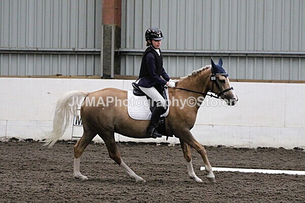 SIAL3669 - CAbin Dressage 5th july 2025
