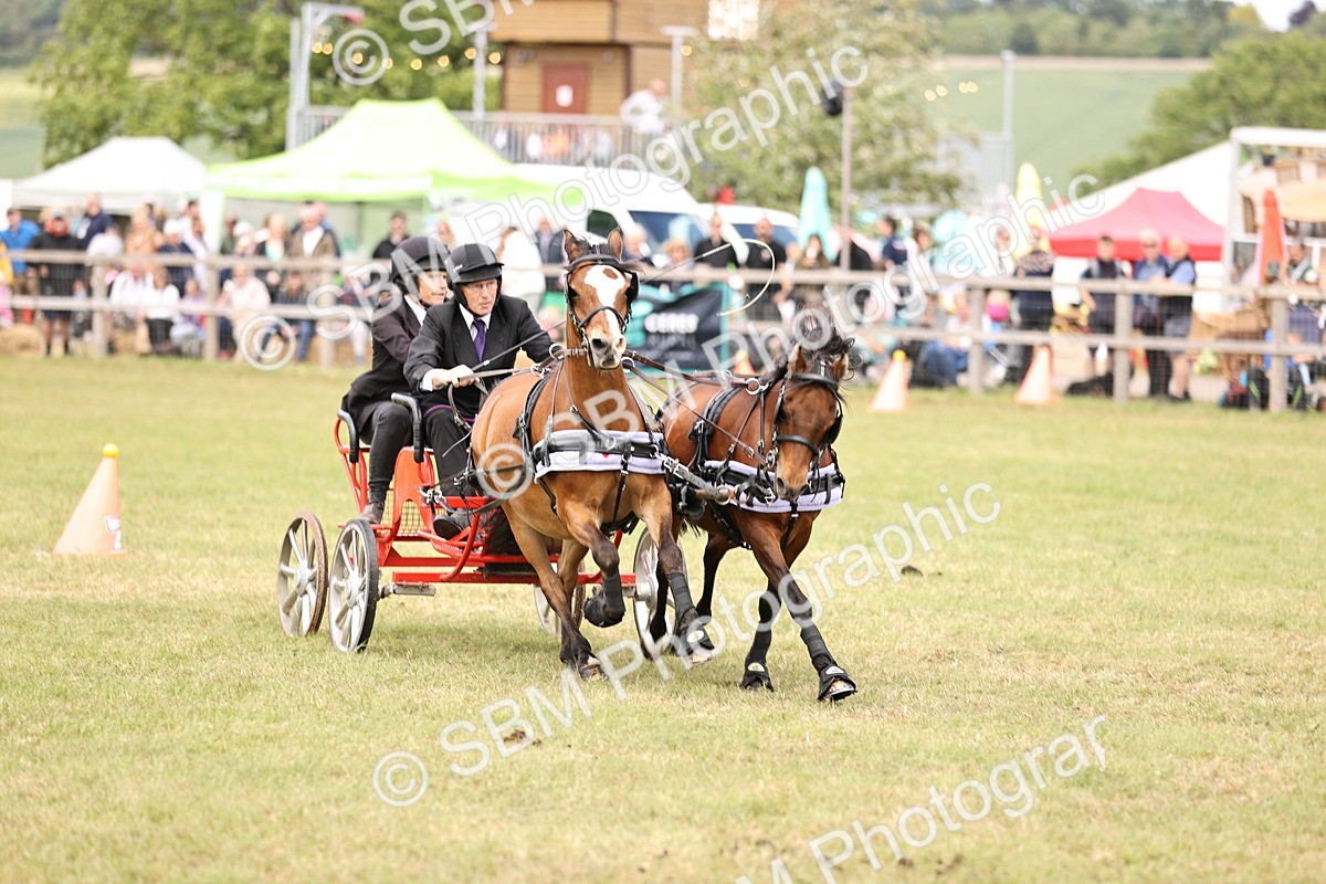 SBM_16109 - Class 91 - Scurry  exceeding 122cms