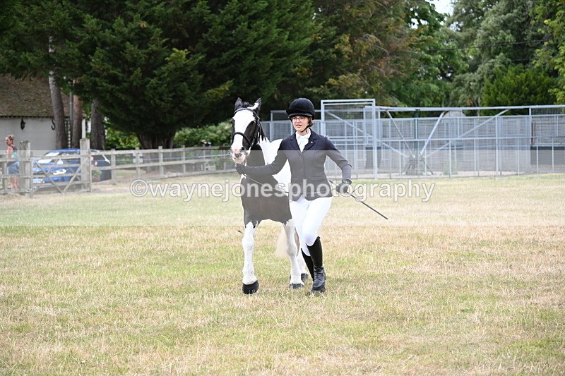 WJ6_4255 - Class 10 Coloured In-hand