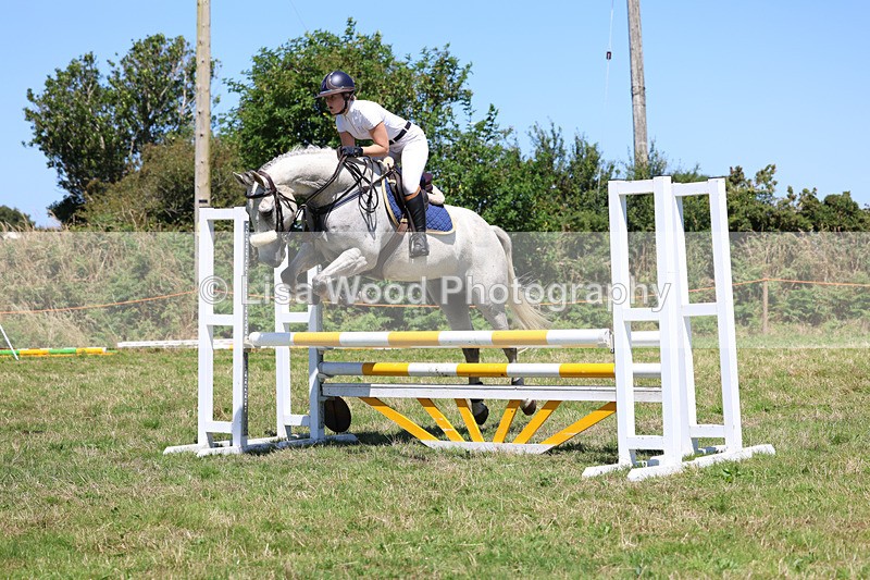 3E7A5586 - Class 9: Senior British Novice/90cm open