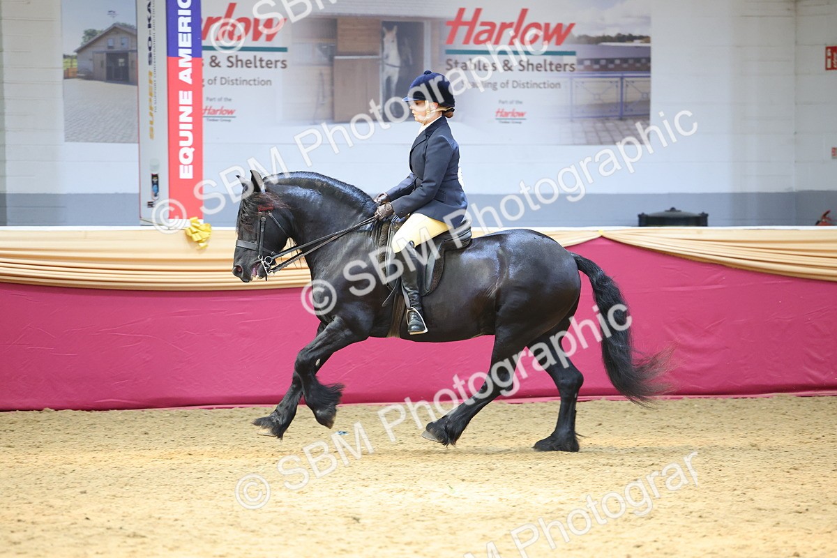 SBM_23990 - Class 905 - Supreme Final - Ridden Veteran