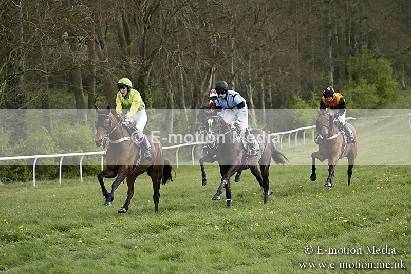 PtP 170417 328 - Old Berks Point-to-Point Lockinge 17/04/17