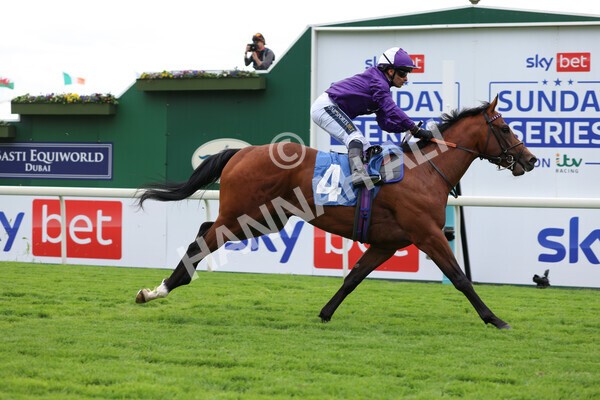 yr22052022r2-18 - Race 2: 4:00pm Sky Bet Sunday Series EBF Novice Stakes