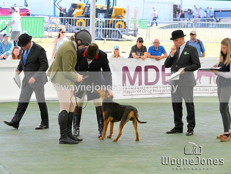WJ5_0604 - Berks & Bucks at the Great Yorkshire Show 2025