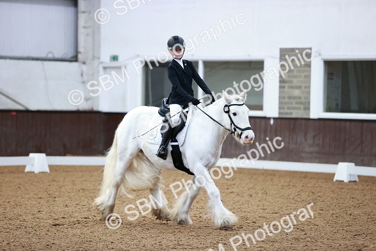 SBM_000068 - Class 3, 4, 8, 10 Intro 3 Prelim 3 Novice 2