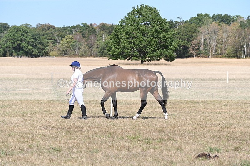 WJ6_9429 - Class 40 Cheekiest Pony/Horse