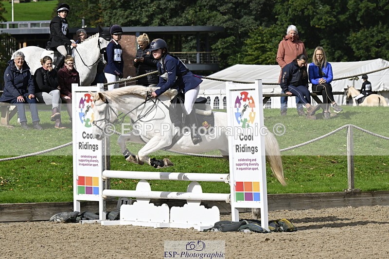 251005A-121946-03725 - Cls 08 Mini 70-75cm