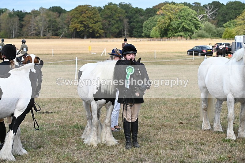 WJ6_6726 - Class 20 In-hand Cob