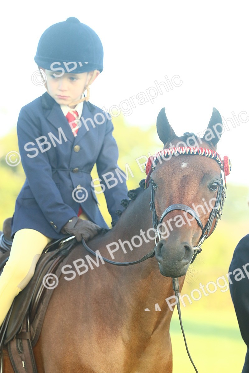 SBM_56660 - S36 - Starters Best Turnout