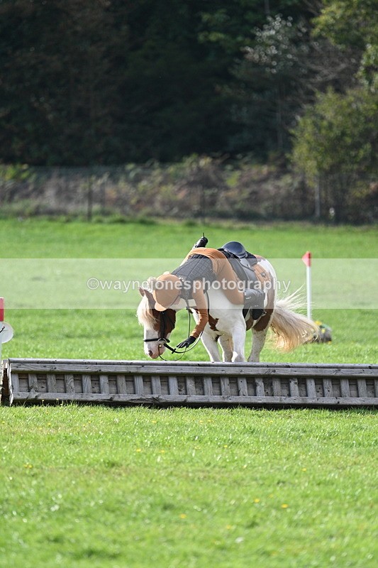 WJ7_3968 - 40cm Time 10:26 to 10:42