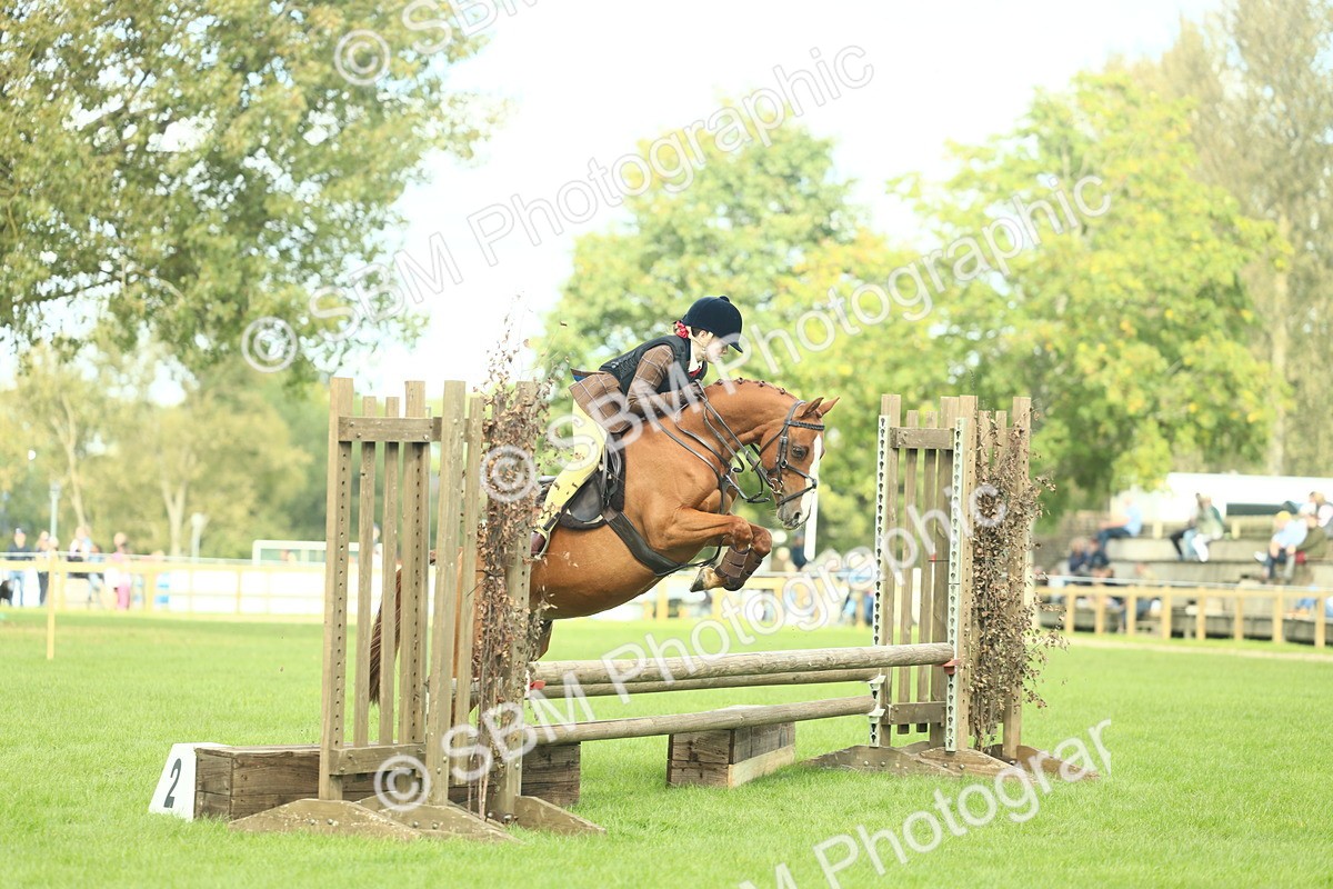 SBM_44632 - S31 - Working Hunter Pony