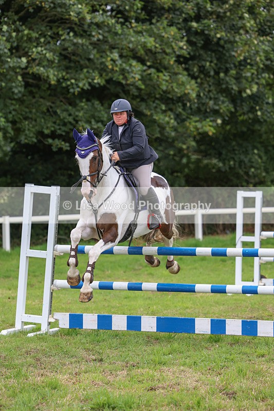 3E7A8001 - Class 7: Senior Newcomers/1.10m open