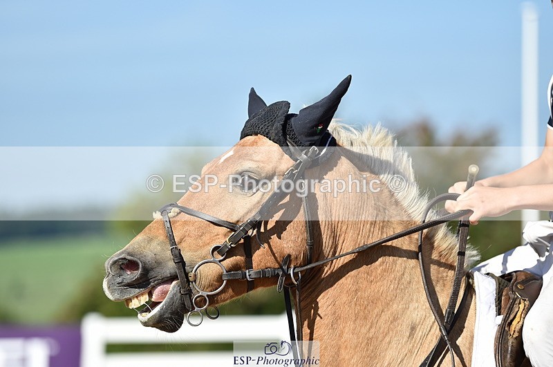 230903A-102012-03943 - Cls 18 Pony Brit Novice & 80cm Open
