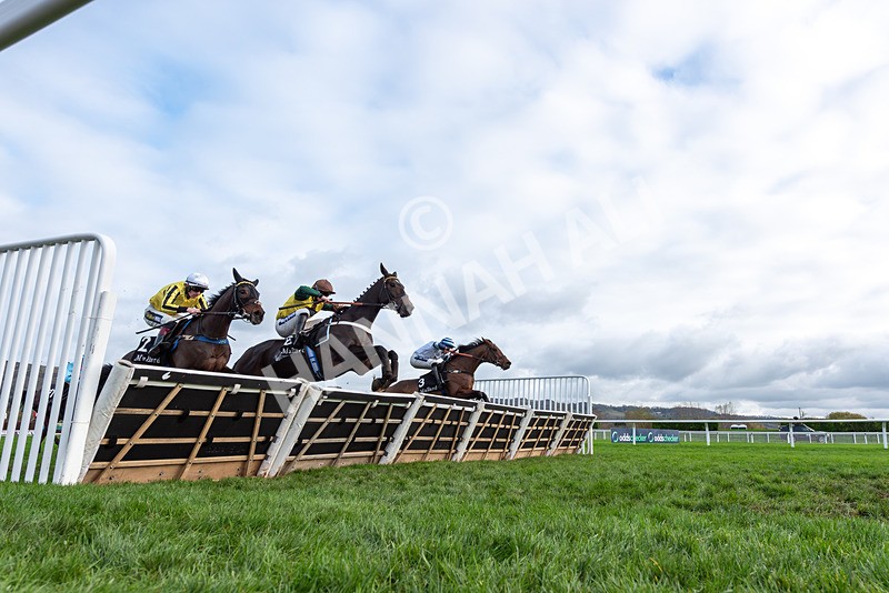161125-Race 1-Gaelic Pride-2921 - Race 1