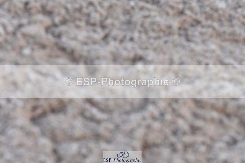 240107A-094628-00190 - Quest DR Tests