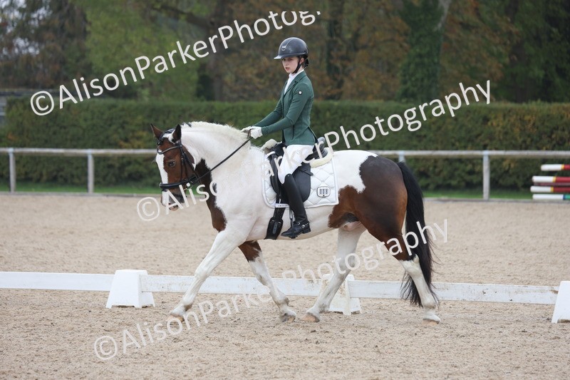 20251012-0583 - Class 5 - Elementary 5