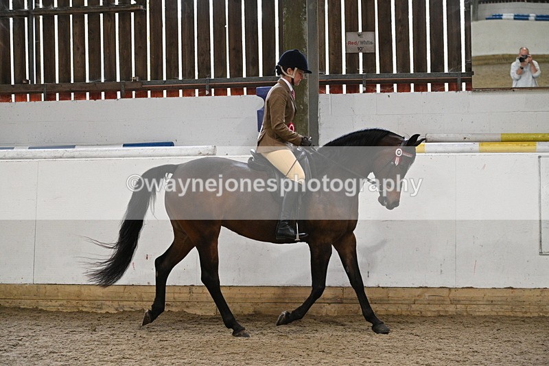 WJ7_4483 - Afternoon Champs