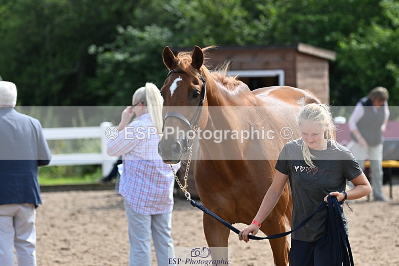 240717A-161253-03353 - Trot Up 4pm to 5pm