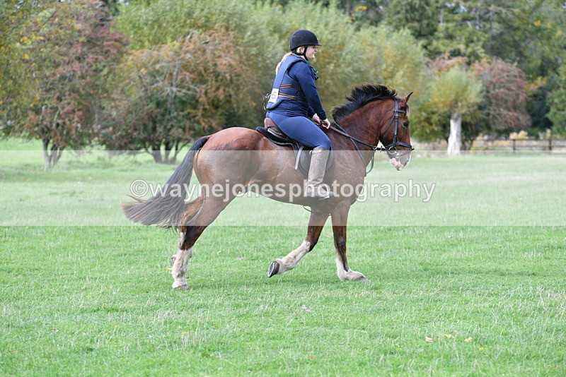 WJ5_0634 - Time 13:59 to 14:28