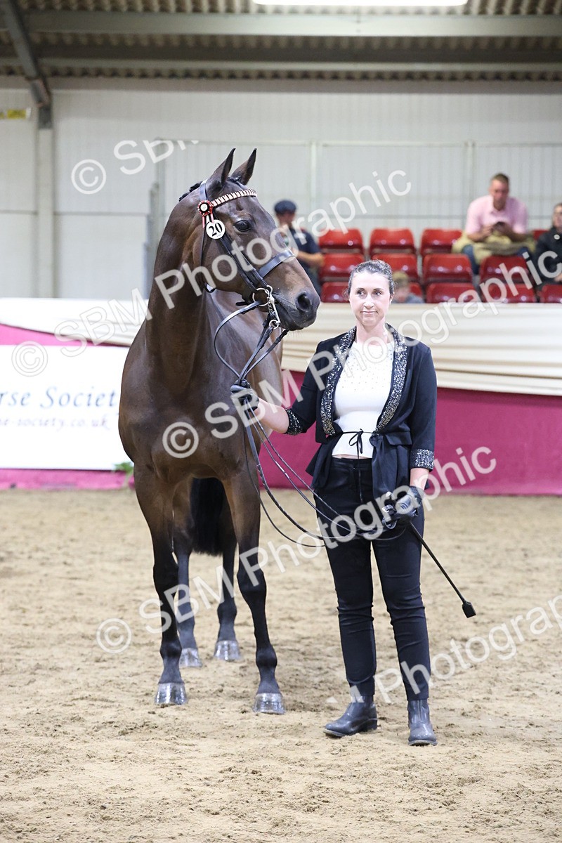 SBM_20655 - Class I - Ridden Pony Champ
