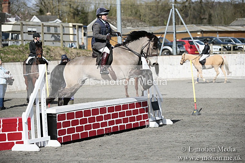 BVRC SJ 170319 201 - Bourne Valley Riding Club Showjumping 17/03/19