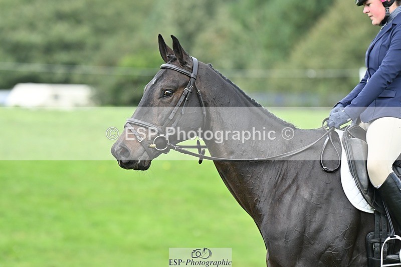 231020-123516-08415 - 655-A.LITTLE.UNBELIEVABLE-Nathalie.Round-DR