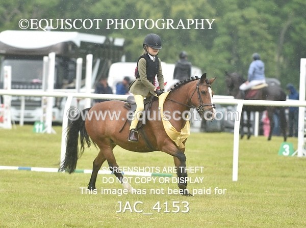 JAC_4153 - 40CM WORKING HUNTER