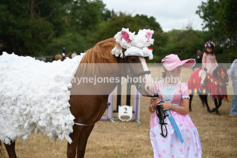 WJ6_8925 - Class 11 Fancy Dress