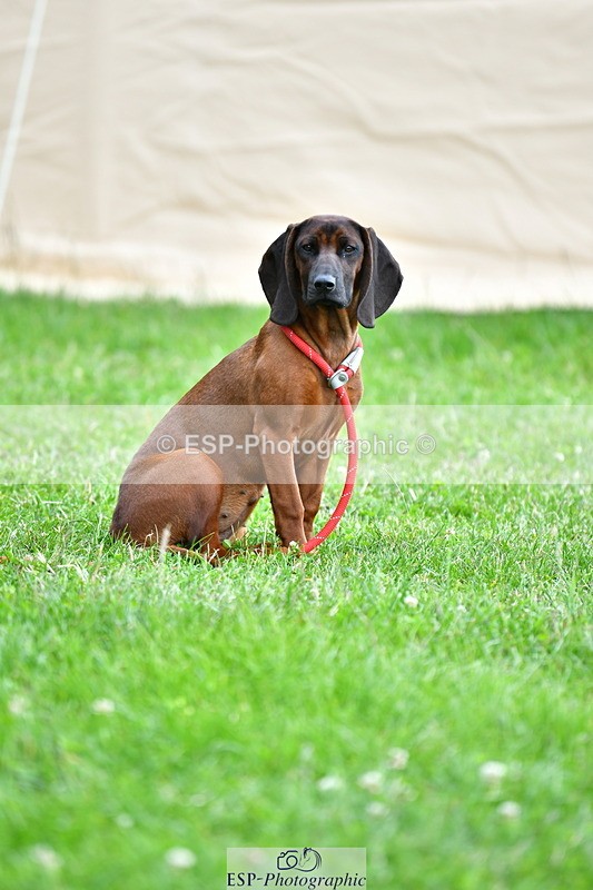 230720A-143021-03543 - Cls 9, 2 Star Big 1.40m Start to break