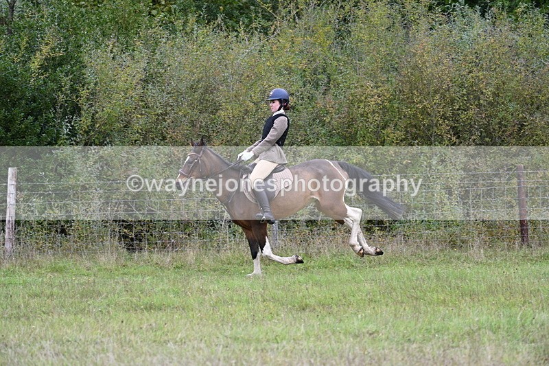 WJ7_3970 - Camera 1 Line 1