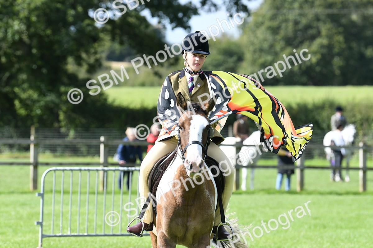 SBM_47105 - S12 - Family Horse & Pony