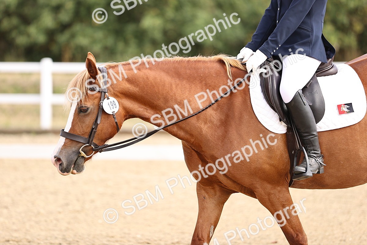 SBM_006476 - Intro 3 - 9.46-10.46