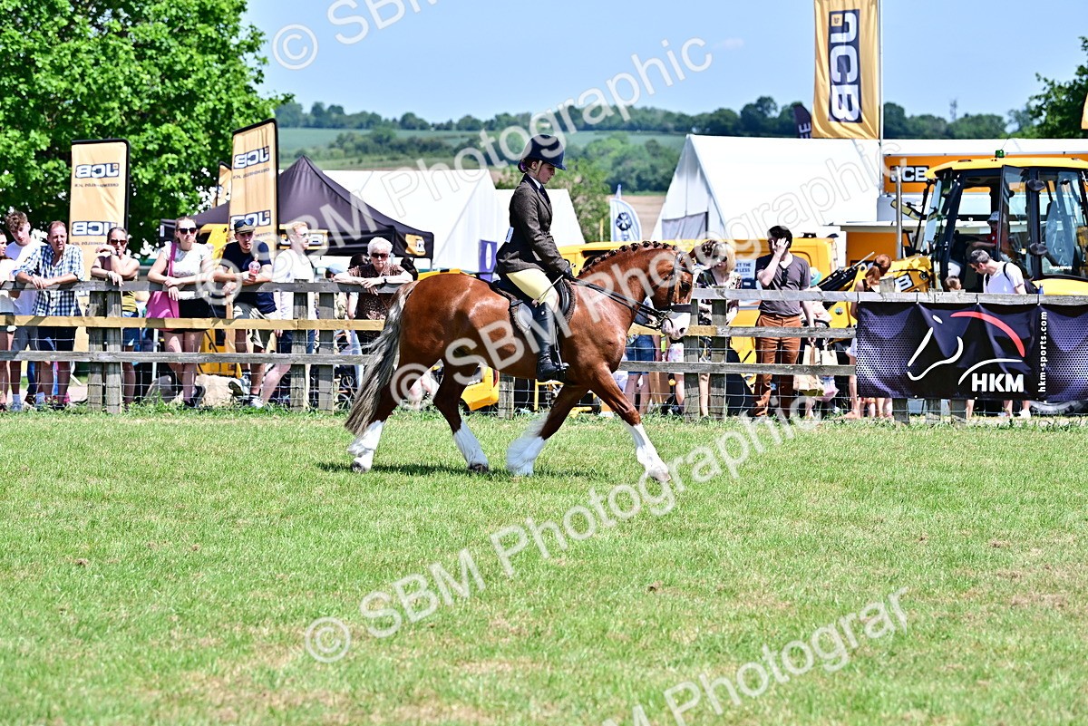 SBM_15408 - Class 95-97 - BSPS LHS Performance Ponies